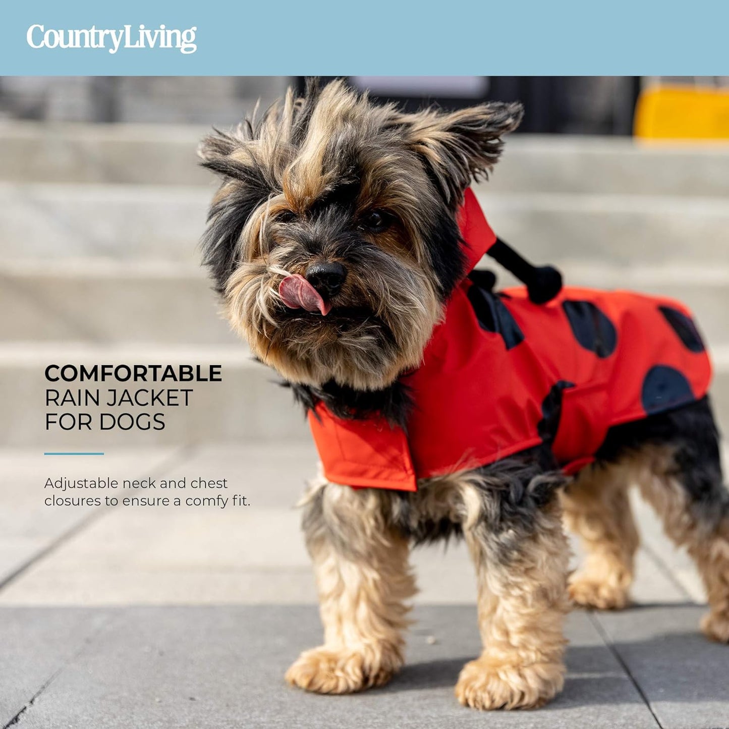 , Water-Resistant Dog Raincoat, Adjustable & Lightweight Puppy/Dog Rain Jacket, Adorable Hoodie with Reflective Strap (Ladybug, XS)